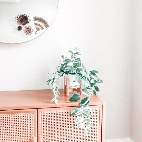 Artificial Wandering Variegated Plant minimalist Boho Decor - Picture 1 of 3